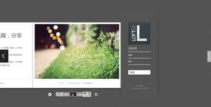 网页设计与开发 以网站核心内容为中心的艺术与科学